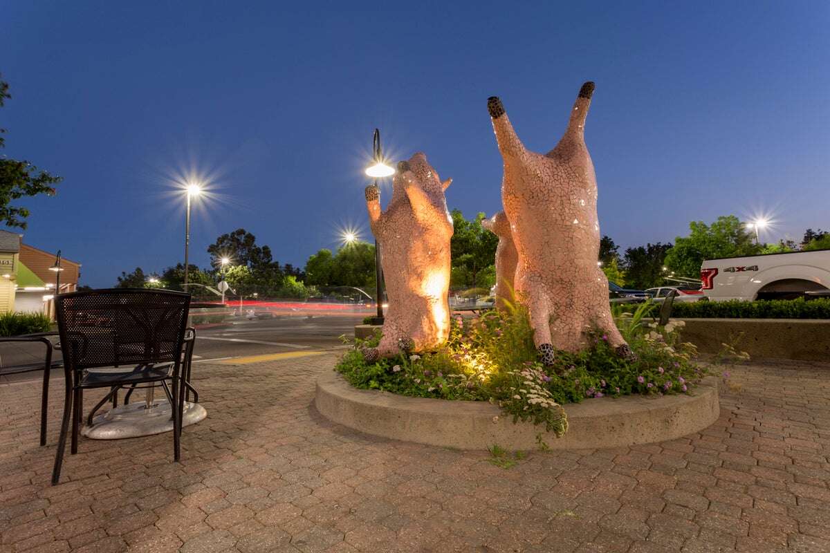 MarketplaceDavis-FreshLook-Placemaking-Pigs