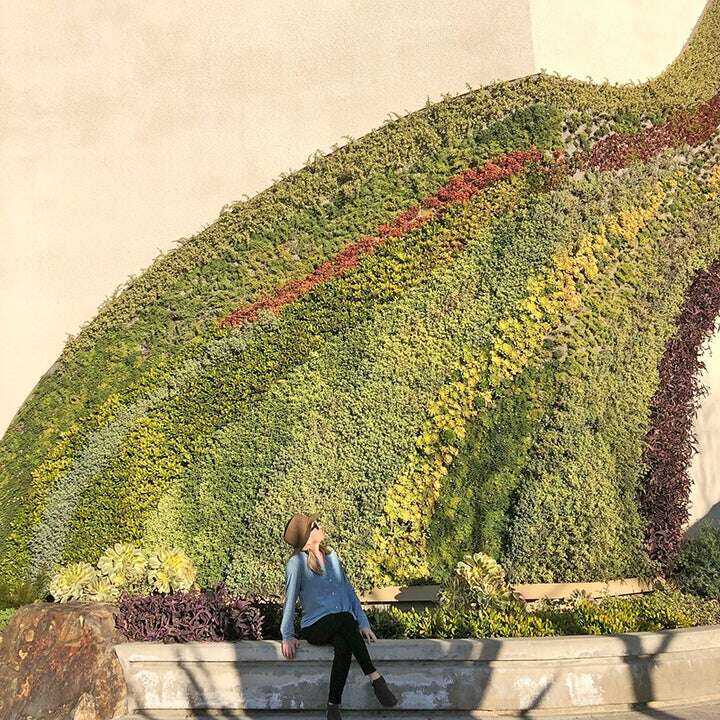 TwinPeaks-FreshLook-Placemaking-GreenWall-InstagramFan