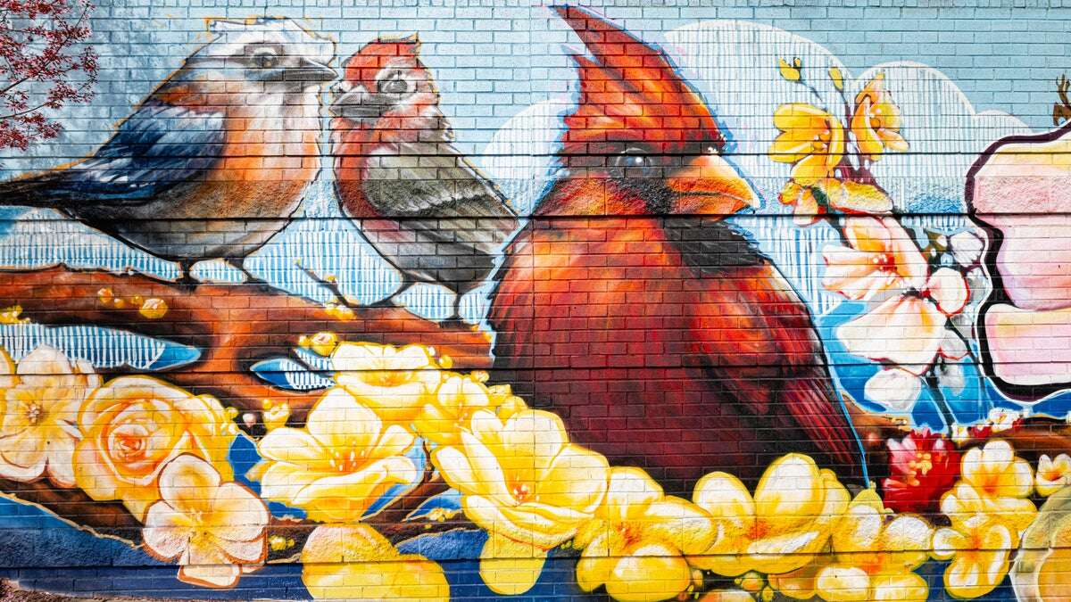 VillageDistrict-FreshLook-Mural-Backyard-1